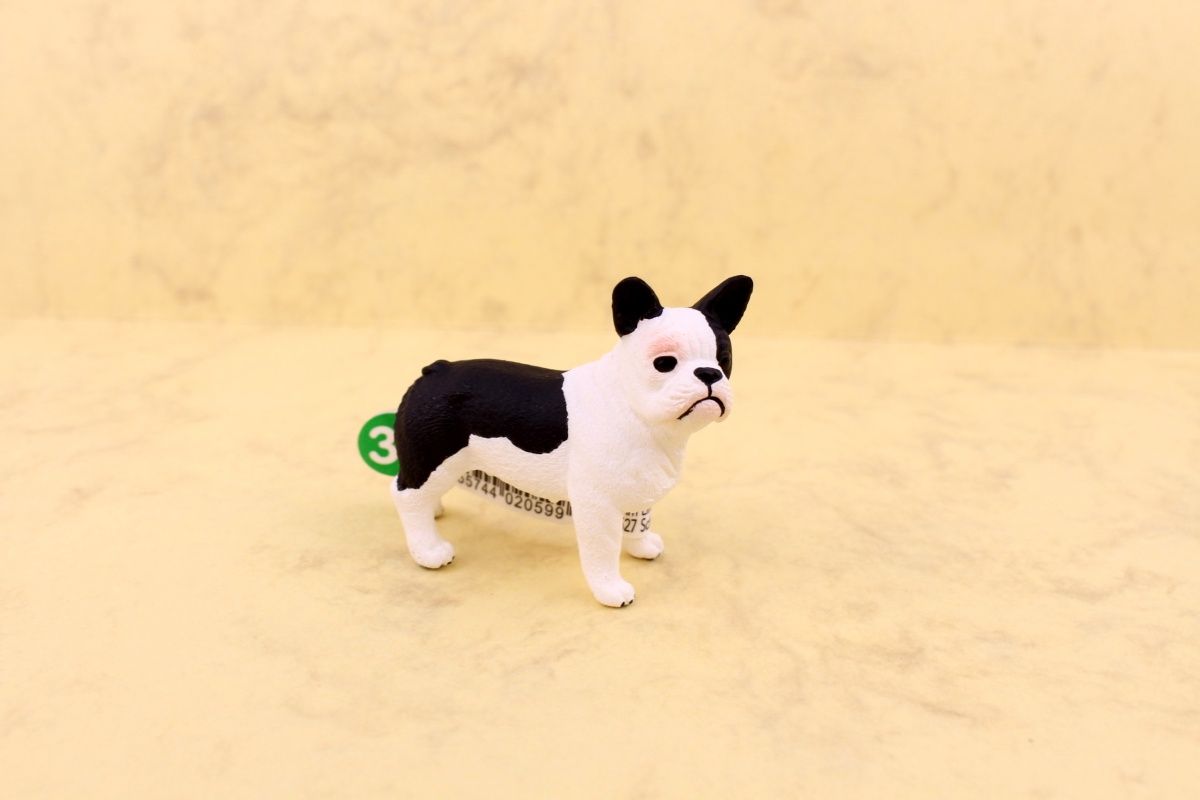 Schleich-13877 FranzoesischeBulldogge NEU OVP
