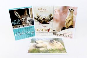 https://www.spielwarensonderposten.de/public/products_thumbs/3692_1.jpg